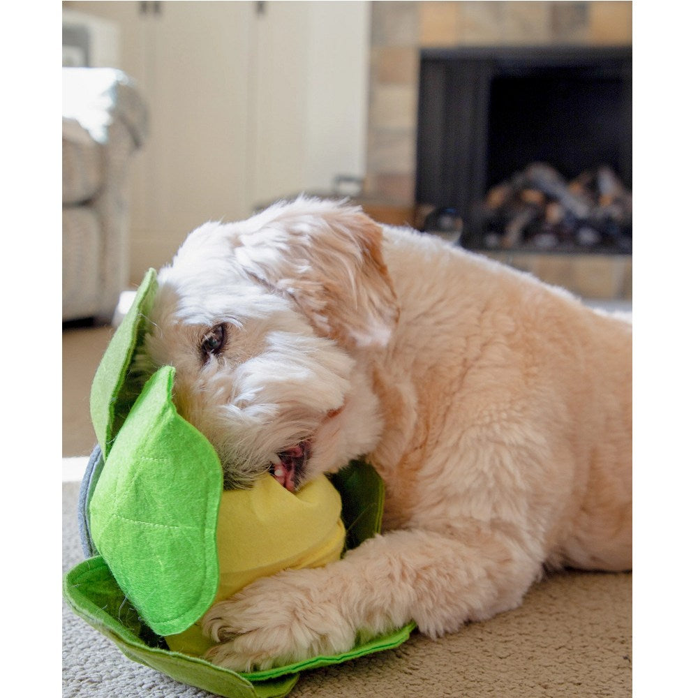 Pea Pod Snuffle Treat Dog Puzzle Toy