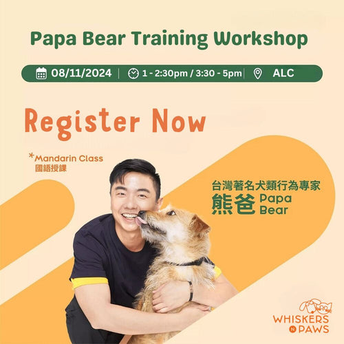 Whisker N Paws x HKAATA Papa Bear Charity Training Workshop