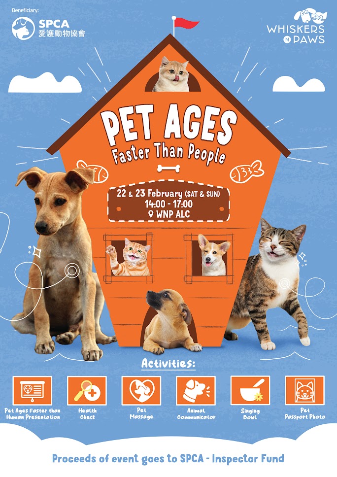 Pet Ages Faster Than Human