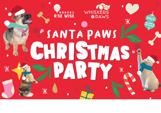 Santa Paws Christmas Party