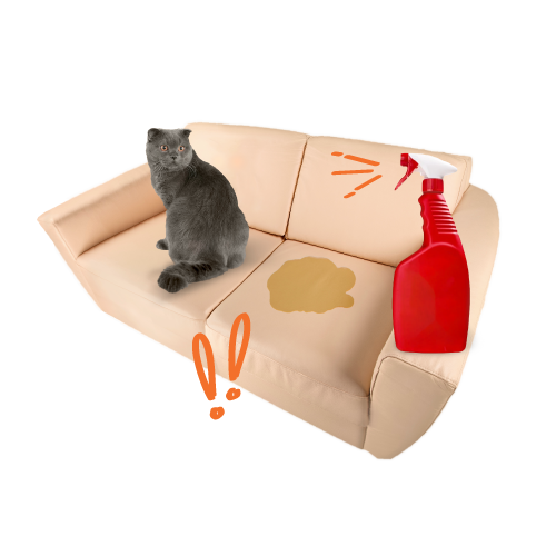 Cat Training & Behavior Supplies