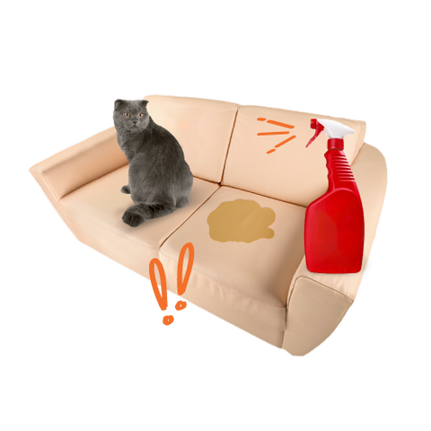 Cat Training & Behavior Supplies