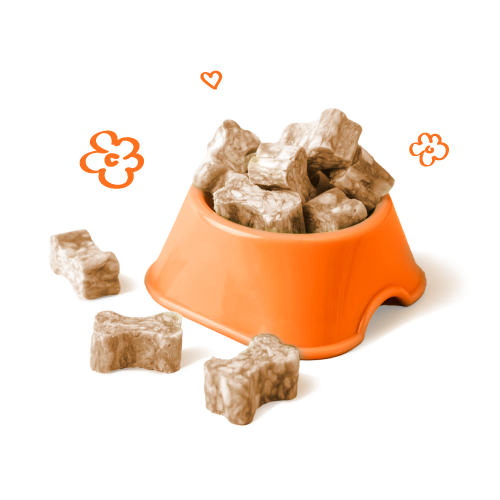 Allergy Friendly Dog Treats