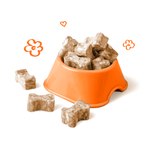 Allergy Friendly Dog Treats