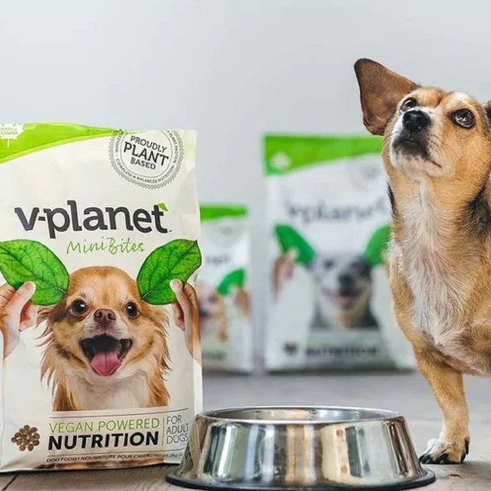 Mini Bites Adult Vegan Dog Dry Food