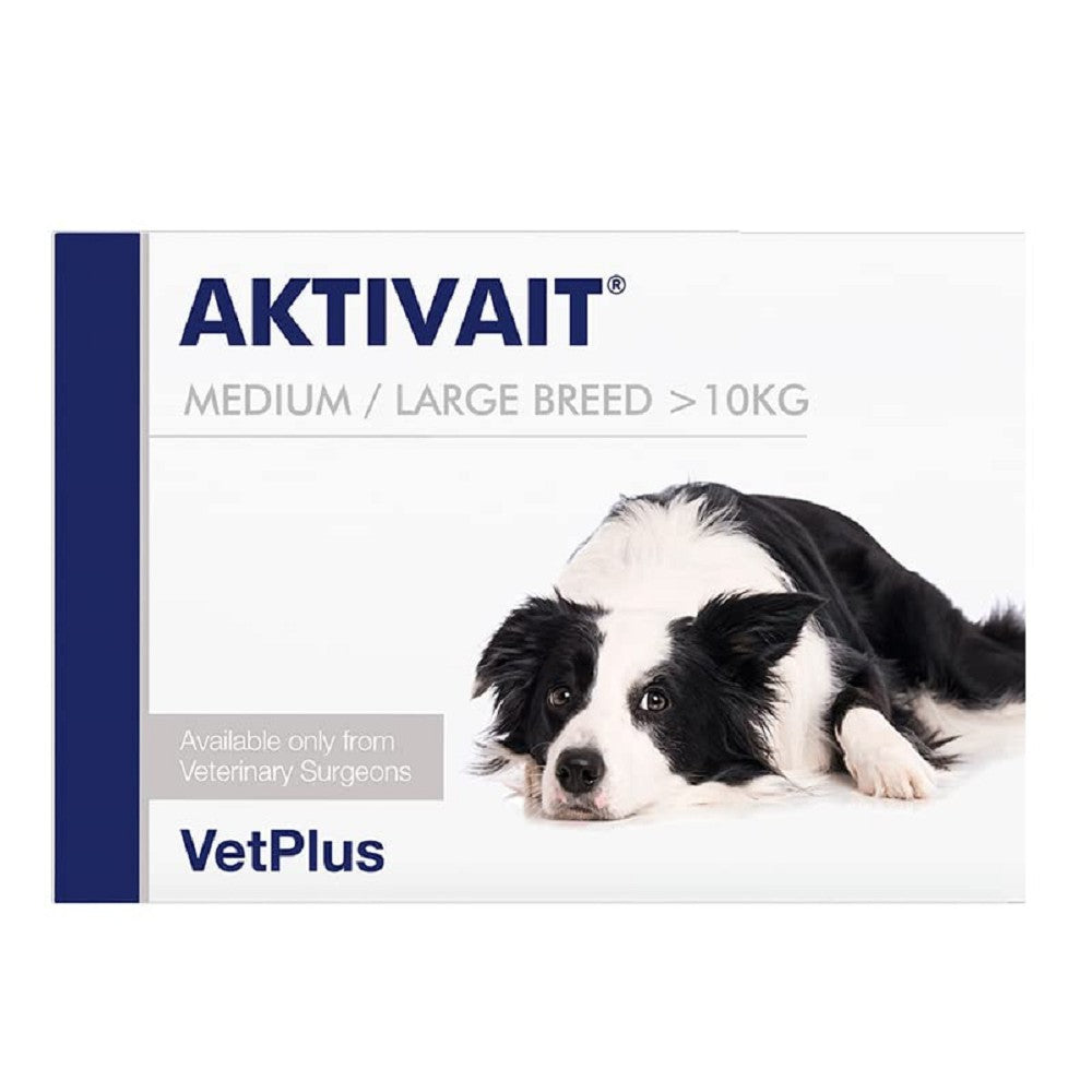 Aktivait for Dogs