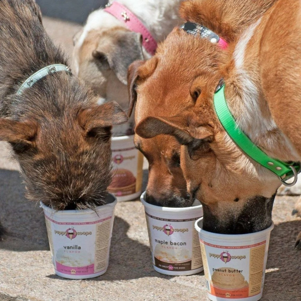 Ice Cream Mix Maple Bacon for Dogs