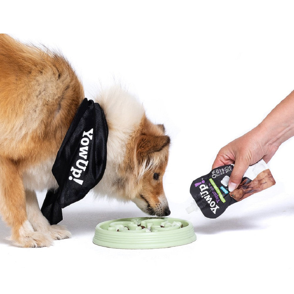 Yogurt Articular for Dogs