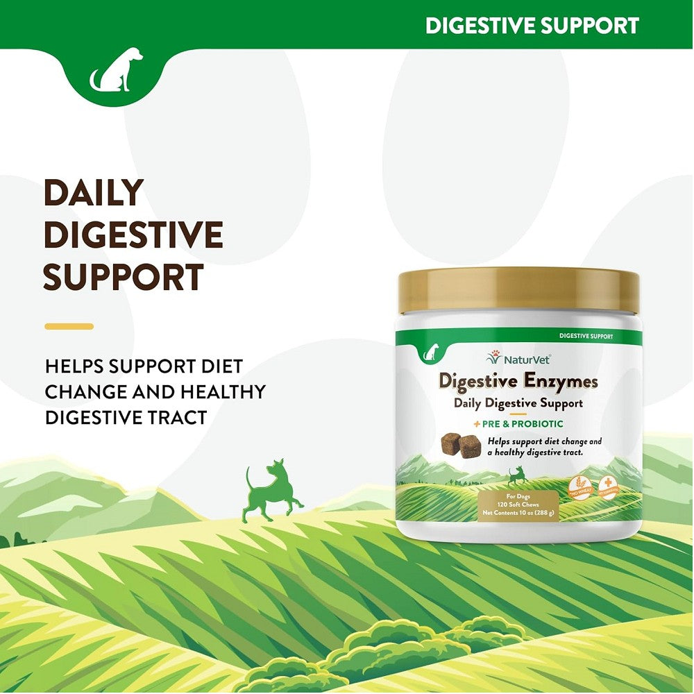 Digestive Enzymes Powder and Probiotics for Dogs & Cats