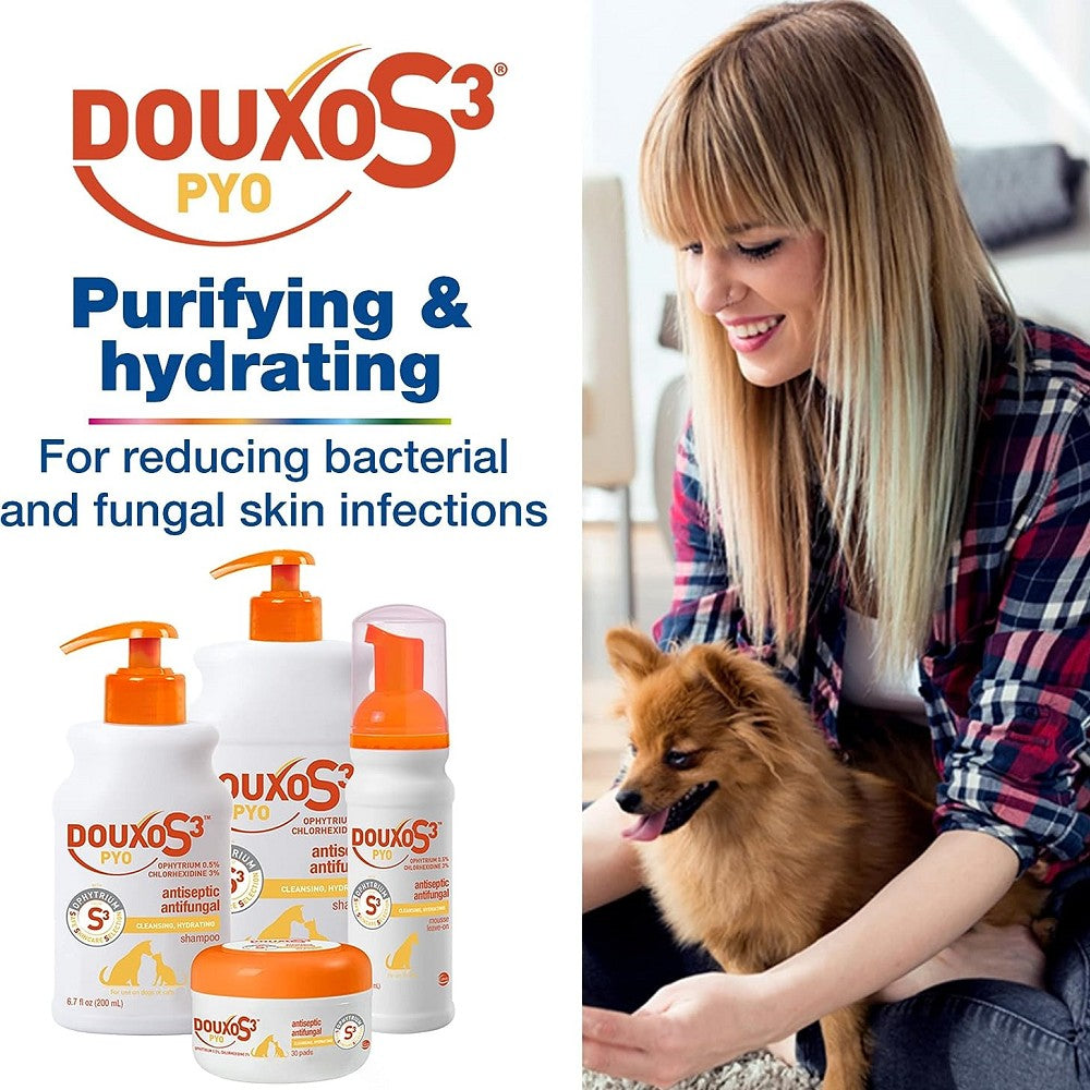 Douxo for dogs best sale