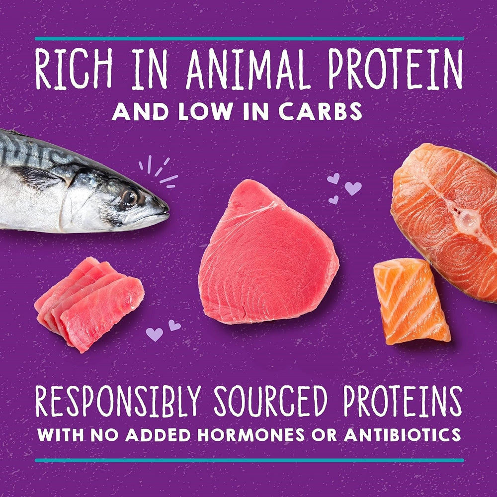 Carnivore Cravings  Adult Salmon, Tuna & Mackerel 100% Complete Balance Diet Recipe Wet Cat Can