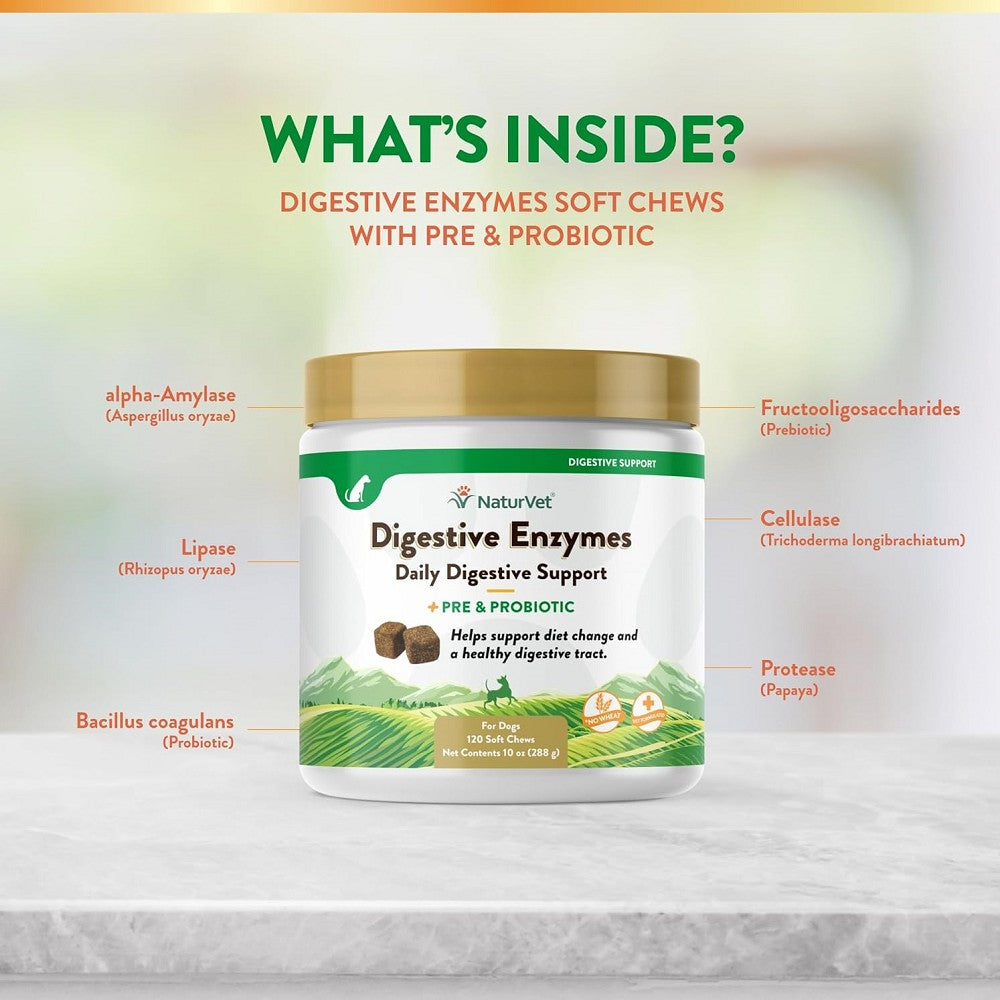 Digestive Enzymes Powder and Probiotics for Dogs & Cats