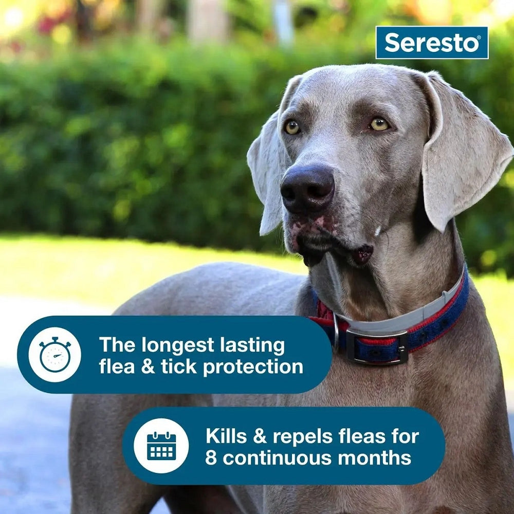 Seresto flea hot sale dog collar