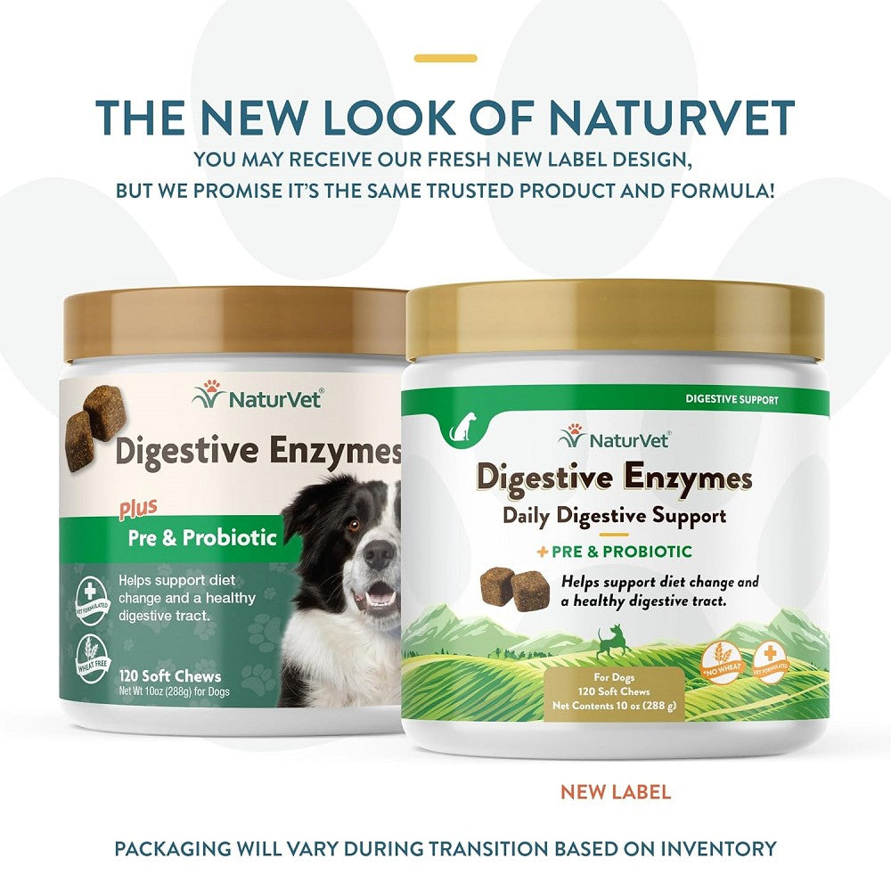 Digestive Enzymes Powder and Probiotics for Dogs & Cats