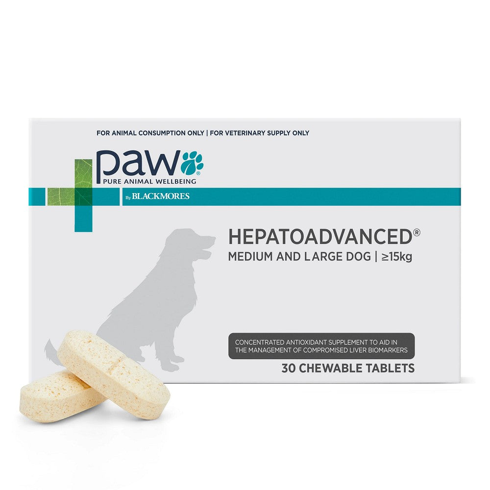 Liver supplement for dogs best sale