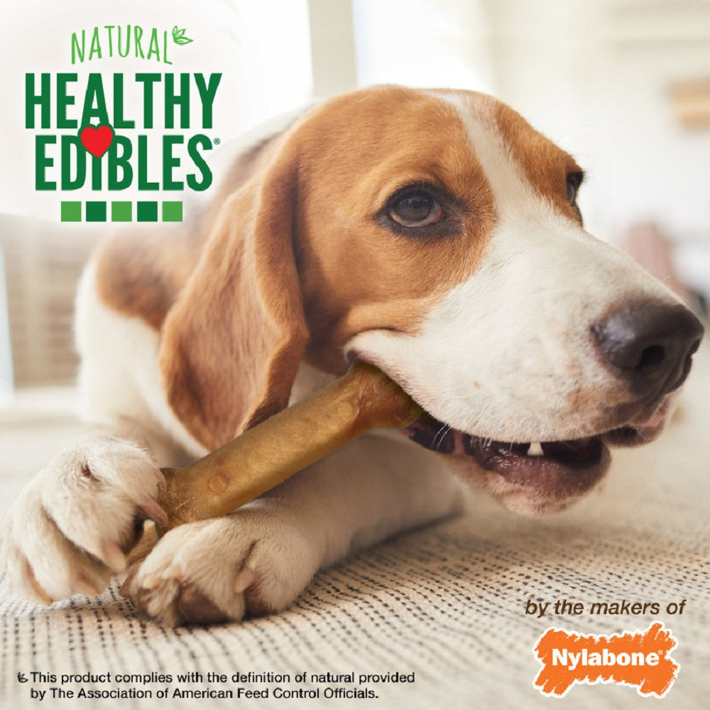 Healthy Edibles Bacon Flavor Dog Dental Chew