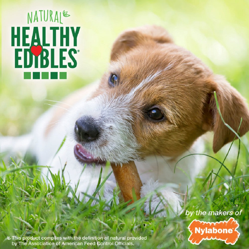 Healthy Edibles Bacon Flavor Dog Dental Chew