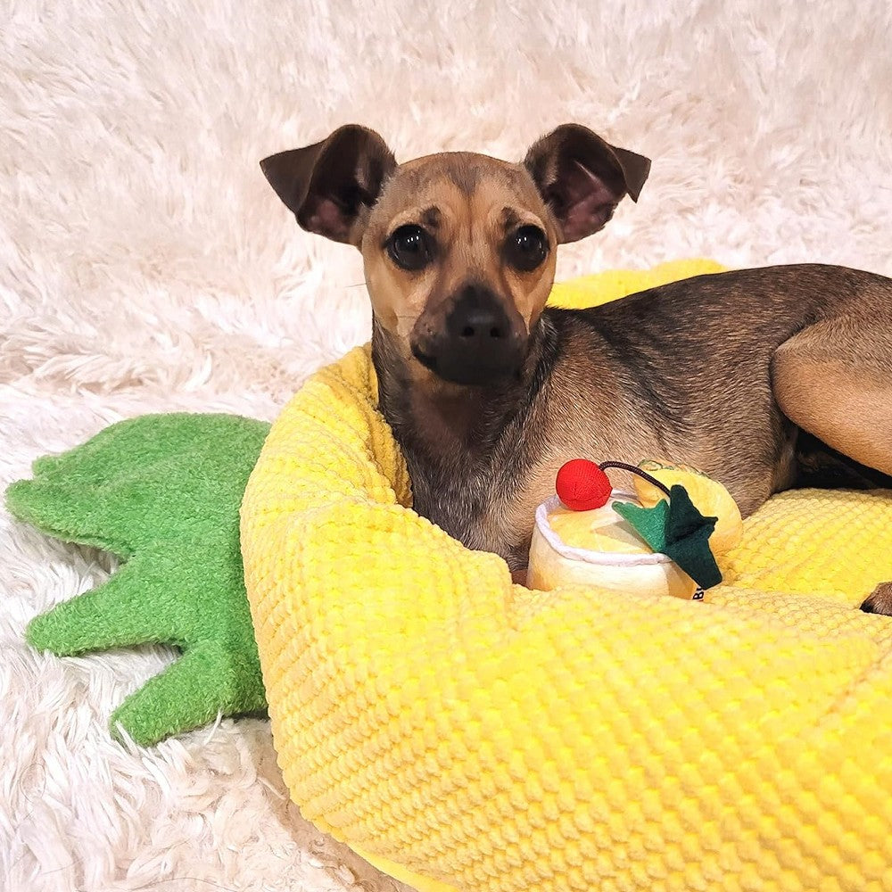 Pineapple Dog Bed With Cocktail Dog Plush Toy