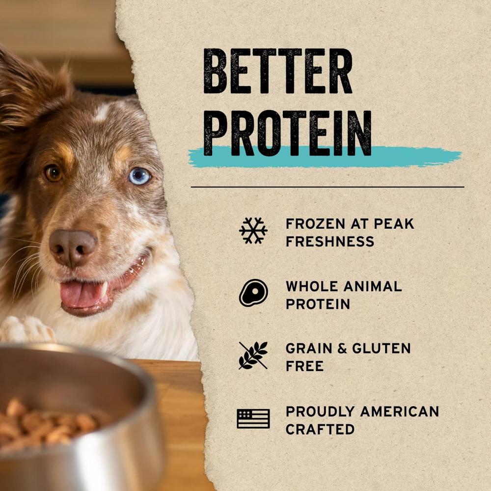 Grain Free Freeze Dried Beef Bites Dog Treats