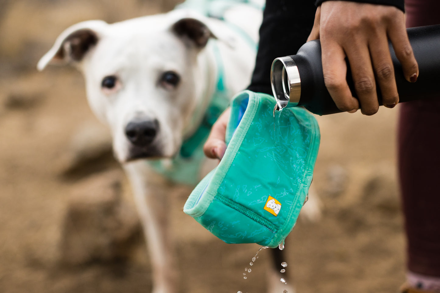 Ruffwear - Swamp Dog Cooling Neck Gaiter