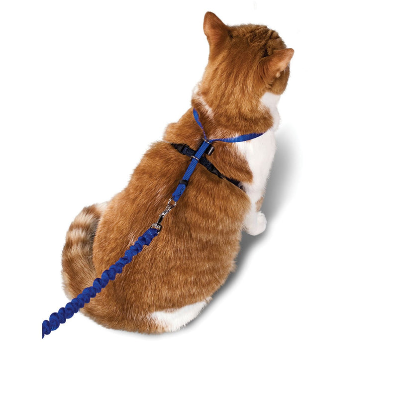 PetSafe - Come With Me Kitty Harness and Bungee Leash Green